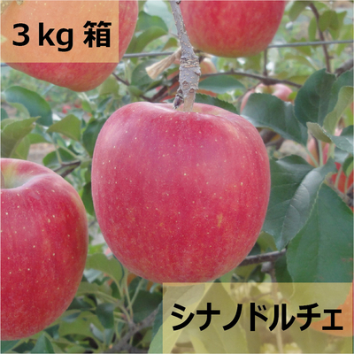 はたき農園 ＜松本と安曇野の小さいりんご園＞